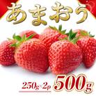 【1月より順次発送】福岡県産 あまおう 500g(250g×2パック)(添田町)
