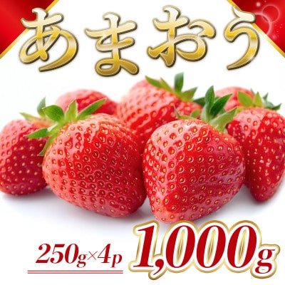 【2月より順次発送】福岡県産 あまおう 1000g(250g×4パック)(添田町)