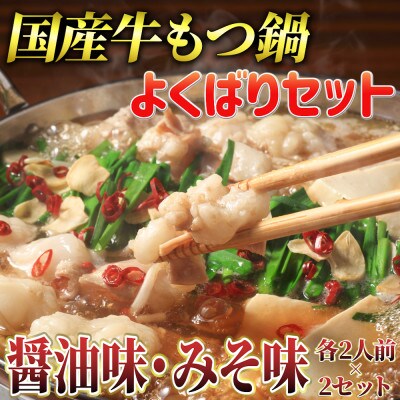 よくばりもつ鍋セット 醤油味2人前&みそ味2人前(合計4人前) (米粉麺付)(添田町)