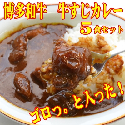 博多和牛　牛すじカレー5食セット　じっくり煮込んだバリうま!ゴロッと入ったコラーゲン♪(添田町)