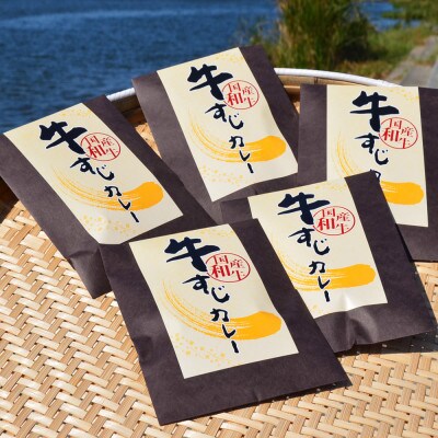 博多和牛　牛すじカレー5食セット　じっくり煮込んだバリうま!ゴロッと入ったコラーゲン♪(添田町)