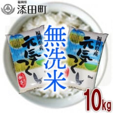 無洗米 福岡県産元気つくし10kg(5kg×2) | ふるさと納税のお礼品