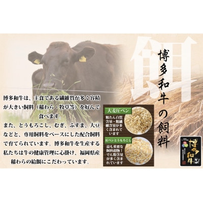 博多和牛 ロースステーキ用400g(200g×2枚入)(添田町)