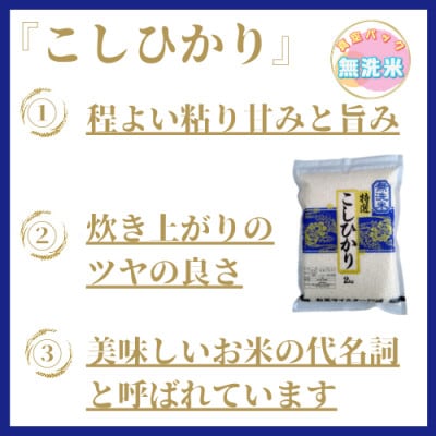 令和6年産《さがびより4kgコシヒカリ4kg》無洗米食べ比べ(真空パック)_SS009