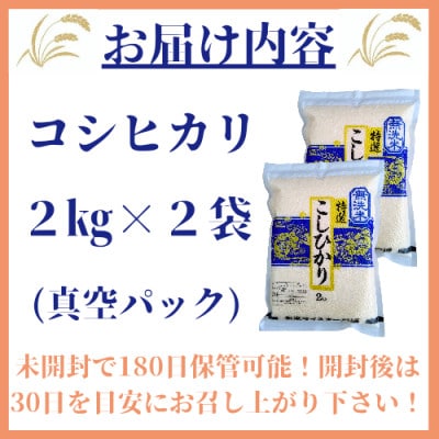 令和6年産《コシヒカリ【巧味】無洗米》2kg×2袋(真空パック)_SS016
