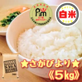 さがびより白米5kg【五つ星お米マイスター厳選!】_SS069