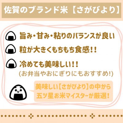 【無洗米】さがびより5kg【五つ星お米マイスター厳選!】_SS071