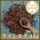 『もち麦』4kg(1kg×4袋)佐賀県産【ダイシモチ】_SS064