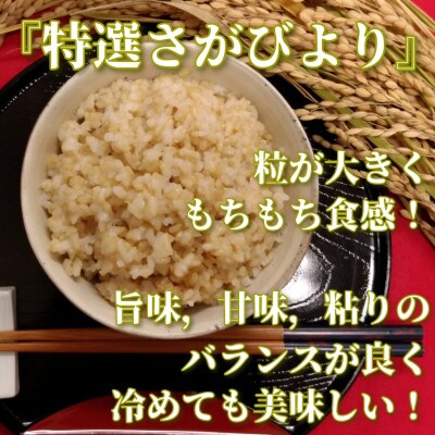 【2023年11月上旬発送】《特選さがびより》玄米5㎏【みやき町産】_SS128