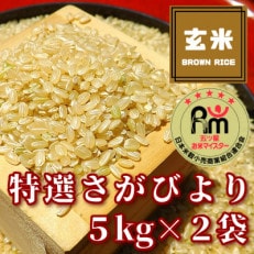 《特選さがびより》玄米10㎏(5㎏×2袋)【みやき町産】_SS129