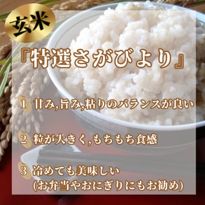 令和6年産《特選さがびより》玄米10㎏(5㎏×2袋)【みやき町産】_SS129