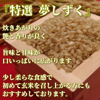 【2023年6月中旬発送】《夢しずく》特選玄米5㎏【みやき町産】数量限定!_SS130