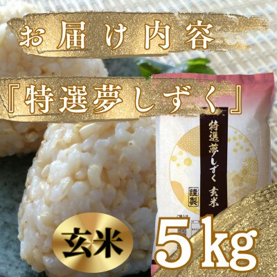 令和6年 新米 玄米】 30キロを10袋セット 佐賀県産夢