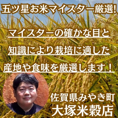 令和6年産【無洗米】ひのひかり10kg(5kg×2袋)【五つ星お米マイスター厳選!】_SS181