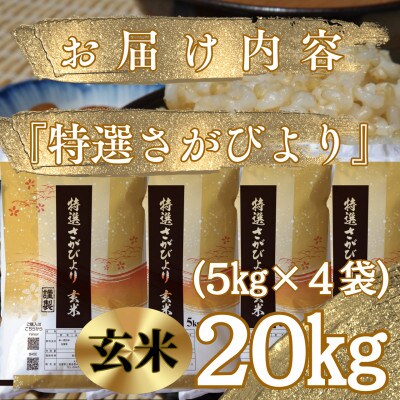 令和6年産《特選さがびより》玄米20kg(5kg×4袋)【みやき町産】_SS496