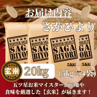 令和6年産【玄米】さがびより20kg(5kg×4袋)【五つ星お米マイスター厳選!】_SS499