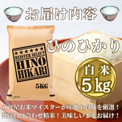 令和6年産　ひのひかり白米5kg【五つ星お米マイスター厳選!】_SS544