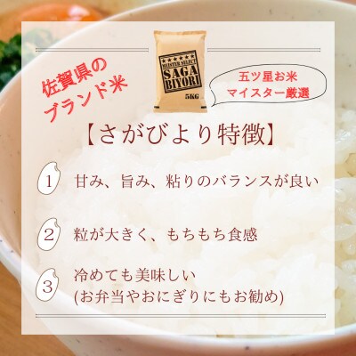 さがびより【白米10kg+玄米10kg】計20kg　五つ星お米マイスター厳選!_SS625