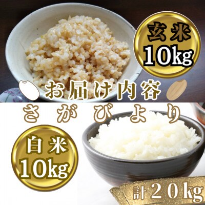 さがびより【白米10kg+玄米10kg】計20kg　五つ星お米マイスター厳選!_SS625