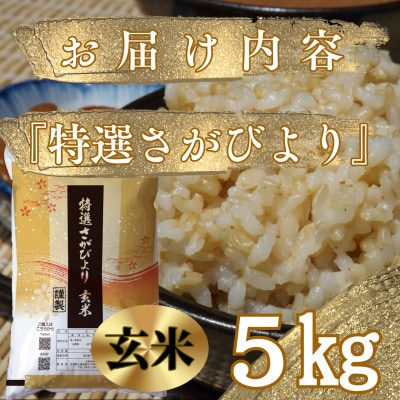 令和6年産《特選さがびより》玄米5kg(2024年11月より順次発送)_SS632