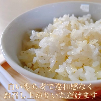 『もち麦』6kg(1kg×6袋)佐賀県産【キラリモチ】_SS762