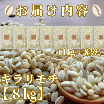 『もち麦』8kg(1kg×8袋)【キラリモチ】佐賀県産_SS761