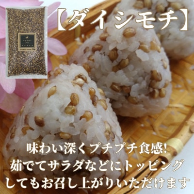 『もち麦』6kg(1kg×6袋)【ダイシモチ】佐賀県産_SS760