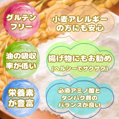 『さがびより』米粉(500g×4袋)グルテンフリー♪_SS1021