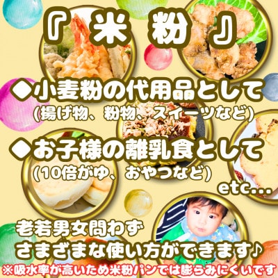 『さがびより』米粉(500g×4袋)グルテンフリー♪_SS1021