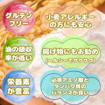『さがびより』米粉(1kg×2袋)グルテンフリー♪_SS1024