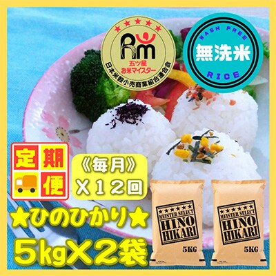 【毎月定期便】無洗米ひのひかり10kg【五つ星お米マイスター厳選】(みやき町)全12回_SS399