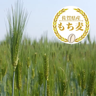 【毎月定期便】『もち麦』2kg(1kg×2袋)佐賀県産【キラリモチ】(みやき町)全6回_SS381