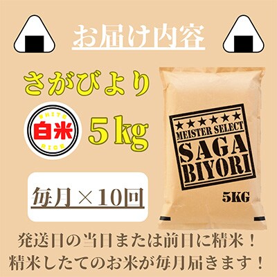 【毎月定期便】さがびより白米5kg【五つ星お米マイスター厳選!】(みやき町)全10回_SS384