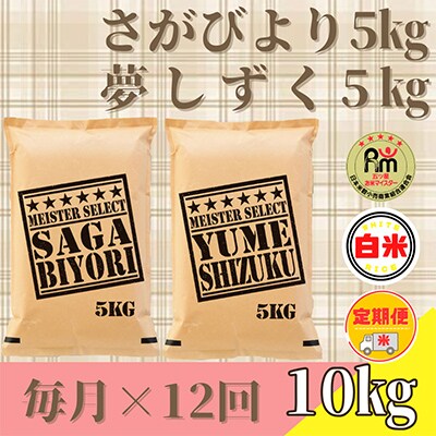 【毎月定期便】さがびより白米5kg・夢しずく白米5kg(計10kg)(みやき町)全12回_SS491