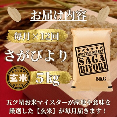 【毎月定期便】【玄米】さがびより5kg【五つ星お米マイスター厳選!】全12回_SS510
