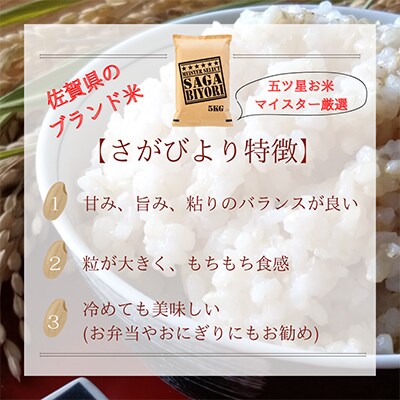 【毎月定期便】【玄米】さがびより10kg【五つ星お米マイスター厳選!】全12回_SS507