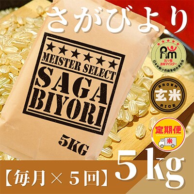 【毎月定期便】【玄米】さがびより5kg【五つ星お米マイスター厳選!】全5回_SS511