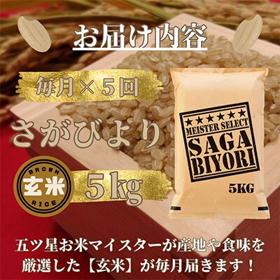 【毎月定期便】【玄米】さがびより5kg【五つ星お米マイスター厳選!】全5回_SS511