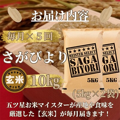 【毎月定期便】【玄米】さがびより10kg【五つ星お米マイスター厳選!】全5回_SS513 