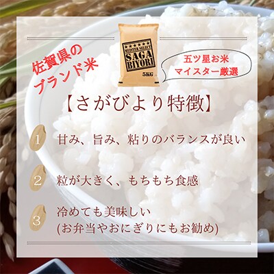 【毎月定期便】【玄米】さがびより10kg【五つ星お米マイスター厳選!】全10回_SS514 