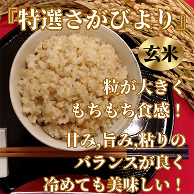 【毎月定期便】《特選さがびより》玄米5kg【みやき町産】五つ星お米マイスター厳選!全6回_SS530