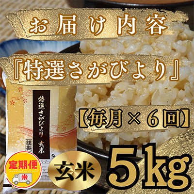 【毎月定期便】《特選さがびより》玄米5kg【みやき町産】五つ星お米マイスター厳選!全6回_SS530
