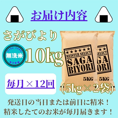 【毎月定期便】【無洗米】さがびより10kg【五つ星お米マイスター厳選!】全12回_SS526