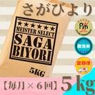 【毎月定期便】【無洗米】さがびより5kg【五つ星お米マイスター厳選!】全6回_SS522