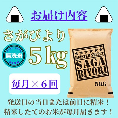 【毎月定期便】【無洗米】さがびより5kg【五つ星お米マイスター厳選!】全6回_SS522