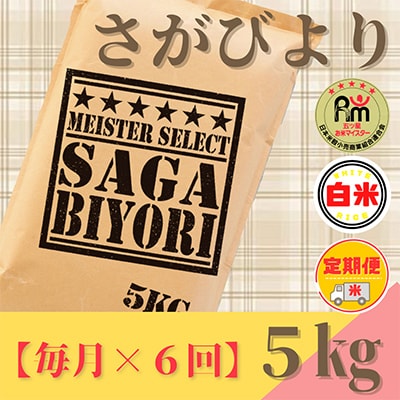 【毎月定期便】さがびより白米5kg【五つ星お米マイスター厳選!】全6回_SS516