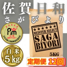 【毎月定期便】さがびより白米5kg【五つ星お米マイスター厳選!】全12回_SS517