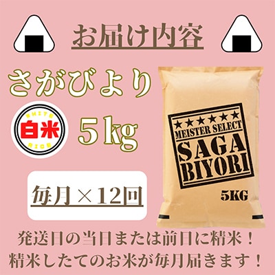 【毎月定期便】さがびより白米5kg【五つ星お米マイスター厳選!】全12回_SS517