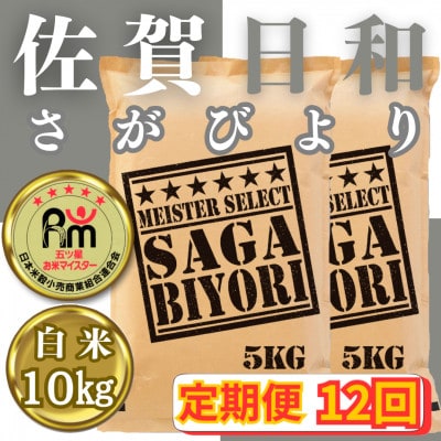 【毎月定期便】さがびより白米10kg(5kg×2袋)【五つ星お米マイスター厳選】全12回_SS520