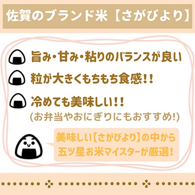 【毎月定期便】【無洗米】さがびより5kg【五つ星お米マイスター厳選!】全3回_SS521